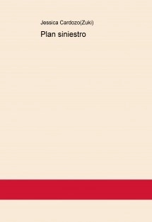 Plan siniestro