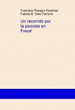 Libro Un recorrido por la psicosis en Freud, autor fabea