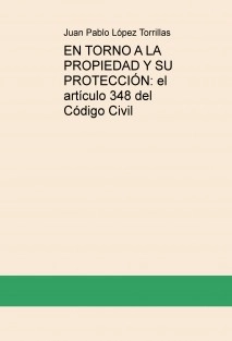 EN TORNO A LA PROPIEDAD Y SU PROTECCIÓN: el artículo 348 del Código Civil