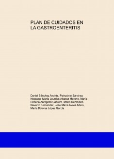 PLAN DE CUIDADOS EN LA GASTROENTERITIS