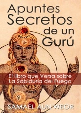 APUNTES SECRETOS DE UN GURU