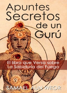APUNTES SECRETOS DE UN GURU