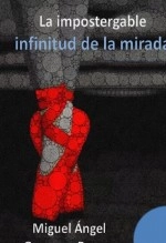 Libro La impostergable infinitud de la mirada, autor lalluviadeunanoche
