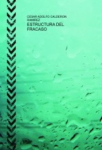 ESTRUCTURA DEL FRACASO