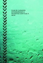 Plan de cuidados estandarizado a pacientes con Folie à Deux
