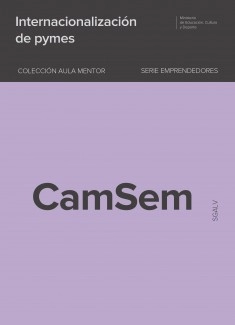 Internacionalización de PYMES