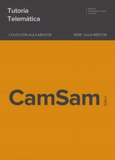Tutoría Telemática