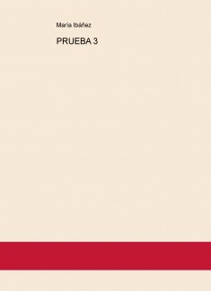 PRUEBA 3