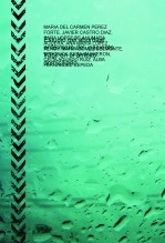 Libro Estudio del abordaje enfermero del paciente frágil en el ámbito domiciliario, autor Ana Maria Lopez Fenoy
