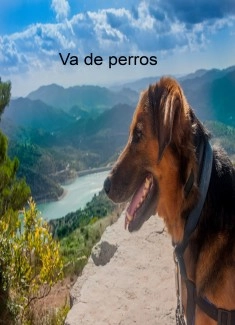 Va de perros