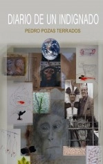Libro DIARIO DE UN INDIGNADO, autor PEDRO POZAS TERRADOS