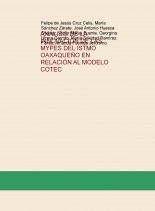 Libro ANÁLISIS DE LA INNOVACIÓN DE LAS MYPES DEL ISTMO OAXAQUEÑO EN RELACIÓN AL MODELO COTEC, autor Felipe de Jesus Cruz Celis
