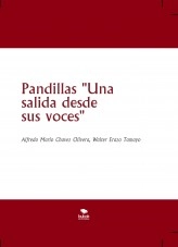 Libro Pandillas "Una salida desde sus voces", autor alfredo mario chavez olivera