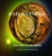 Julia Set Enigma