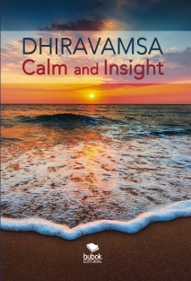 Calm and Insight