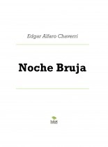 Libro Noche Bruja, autor David Antonio Flores