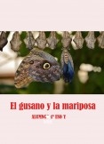 El gusano y la mariposa