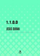 1.1.0.0