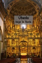 Libro Ubeda bajo la lluvia, autor Carlos Maza Gómez