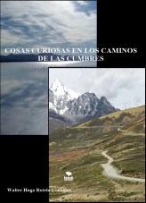 Libro Cosas curiosas en los caminos de las cumbres, autor Walter Hugo Rotela González