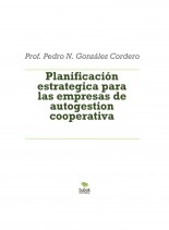 Libro Planificación estrategica para las empresas de autogestion cooperativa, autor Pedro N. Gonzalez