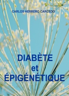 DIABÈTE ET ÉPIGÉNÉTIQUE