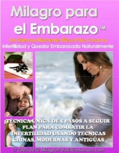 LIBRO MILAGRO PARA EL EMBARAZO PDF GRATIS
