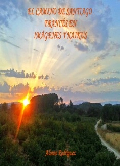 El Camino de Santiago Francés en imágenes y haikus
