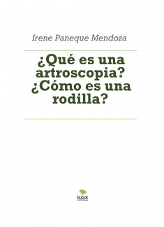 ¿Qué es una artroscopia? ¿Cómo es una rodilla?