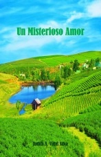 Libro Un Misterioso Amor, autor Judith Auxiliadora Vidal Silva