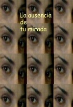 Libro La ausencia de tu mirada, autor Ramón Domínguez Brage