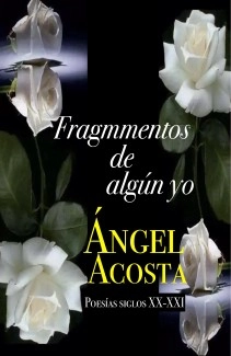 Fragmentos de un yo