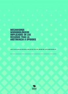 MECANISMOS NEUROBIOLÓGICOS IMPLICADOS EN LAS RECAÍDAS TRAS LA ABSTINENCIA A OPIOIDES
