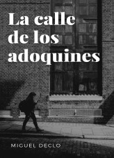Libro La calle de los adoquines, autor Micky Kash