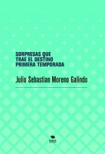 Libro SORPRESAS QUE TRAE EL DESTINO, autor Julio Sebastian
