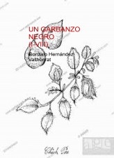 Libro Un garbanzo negro (I-VIII), autor Gonzalo Hernández Vallhonrat