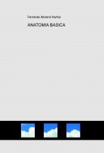 ANATOMIA BASICA