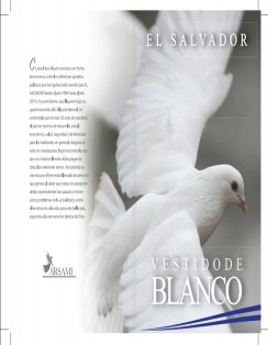 Vestido de Blanco