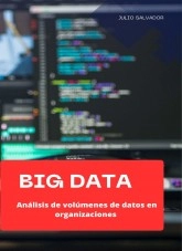 Libro Big Data: Análisis de volúmenes de datos en organizaciones, autor julio cesar silva taboada