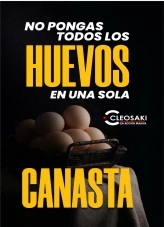 Libro No Pongas todos los Huevos en una Sola Canasta, autor Cleofer Montano Quispe