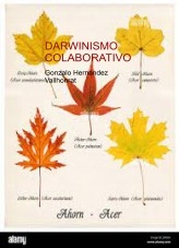 Libro Darwinismo colaborativo, autor Gonzalo Hernández Vallhonrat