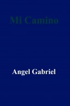 Mi Camino