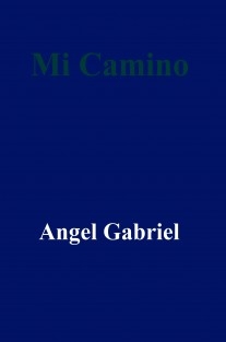 Mi Camino