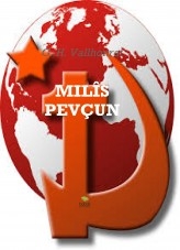 Libro Milîs pevçun, autor Gonzalo Hernández Vallhonrat