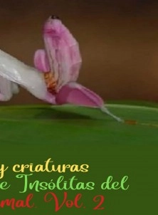 Surprising and unusual rarities and creatures of the Animal Kingdom. Vol. 2