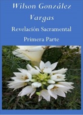 Libro Revelación Sacramental, autor Wilson González Vargas