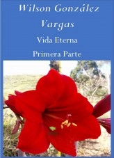Libro Vida Eterna Primera Parte, autor Wilson González Vargas
