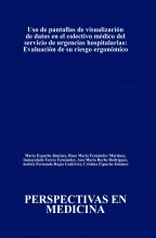 Libro Uso de pantallas de visualización de datos en el colectivo médico del servicio de urgencias hospitalarias: Evaluación de su riesgo ergonómico, autor Ana María Reche Rodríguez