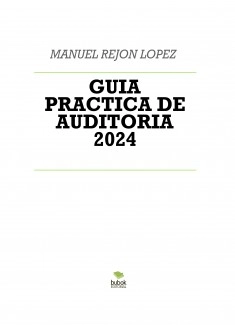 GUIA PRACTICA DE AUDITORIA 2024
