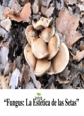 Libro Fungus:La estetica de las setas, autor Jose Mª Alarte Duart